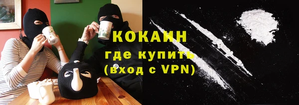 гашик Алексеевка