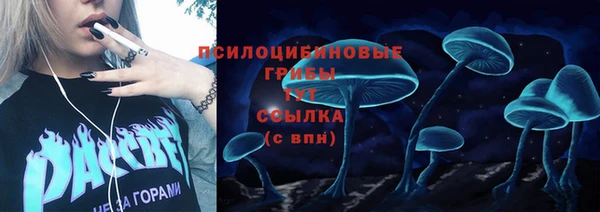 гашик Алексеевка