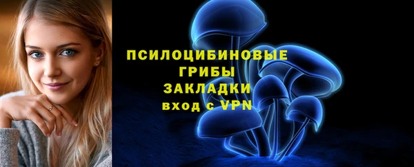 гашик Алексеевка