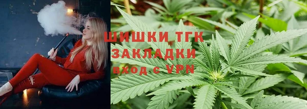гашик Алексеевка