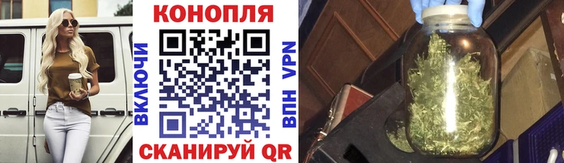 Каннабис планчик  Амурск 